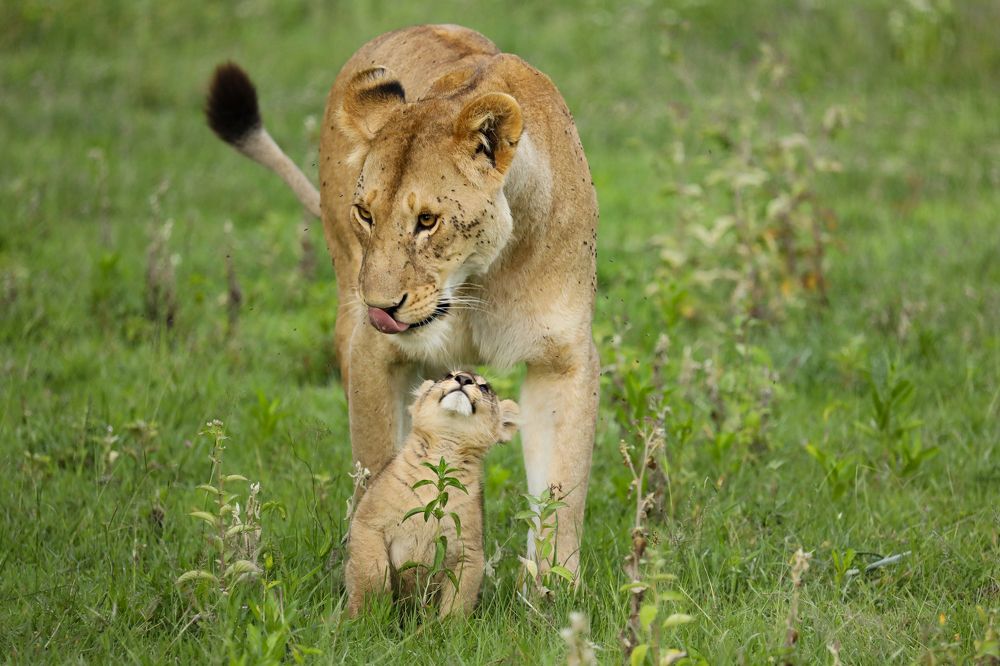 Photograph by Raquel Barao