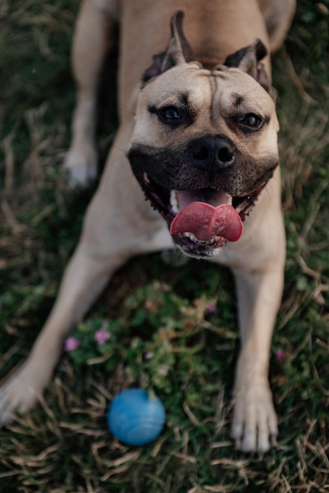 Photograph by Анастасия Герасимова