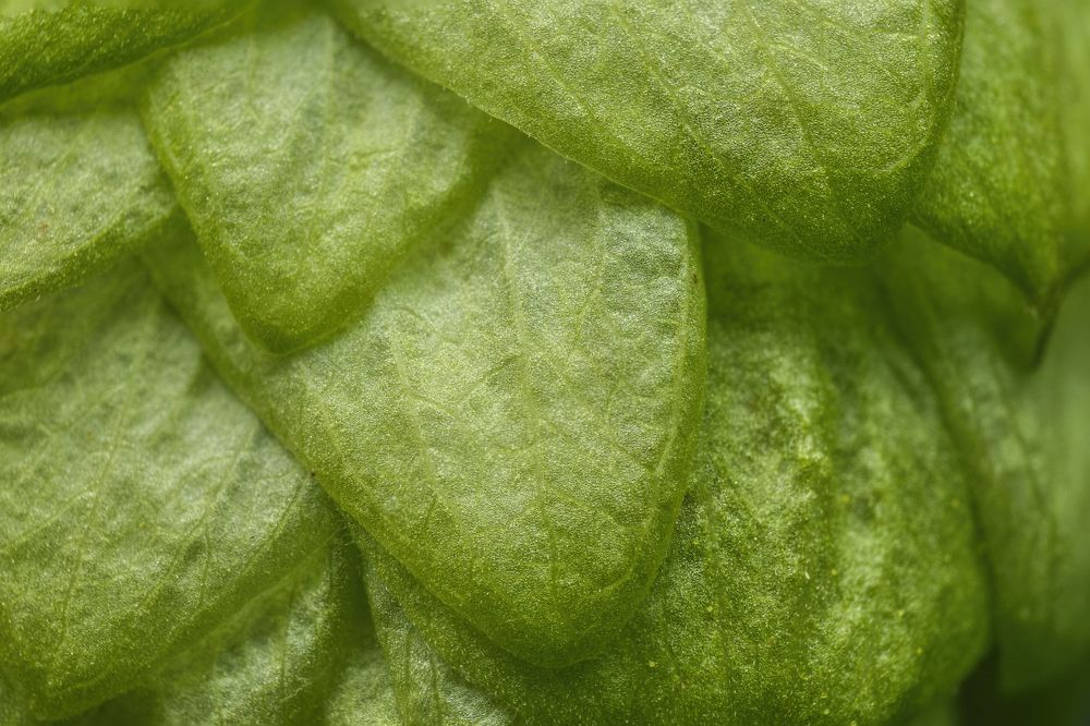 Фотография автора Eimar Kull