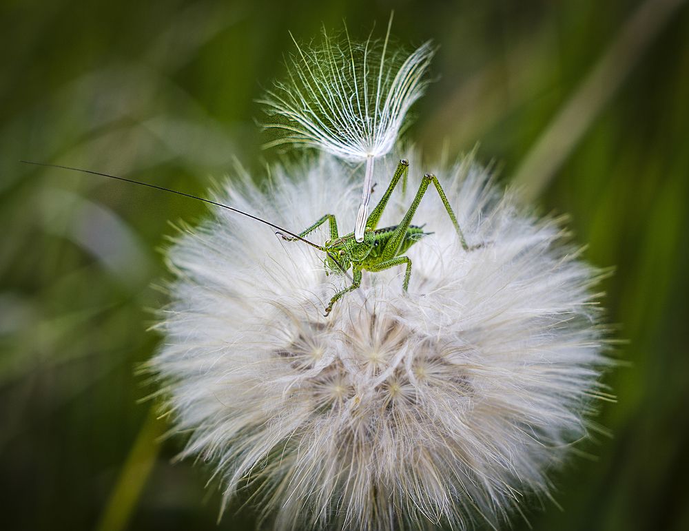 Photograph by Валерий Рябцев