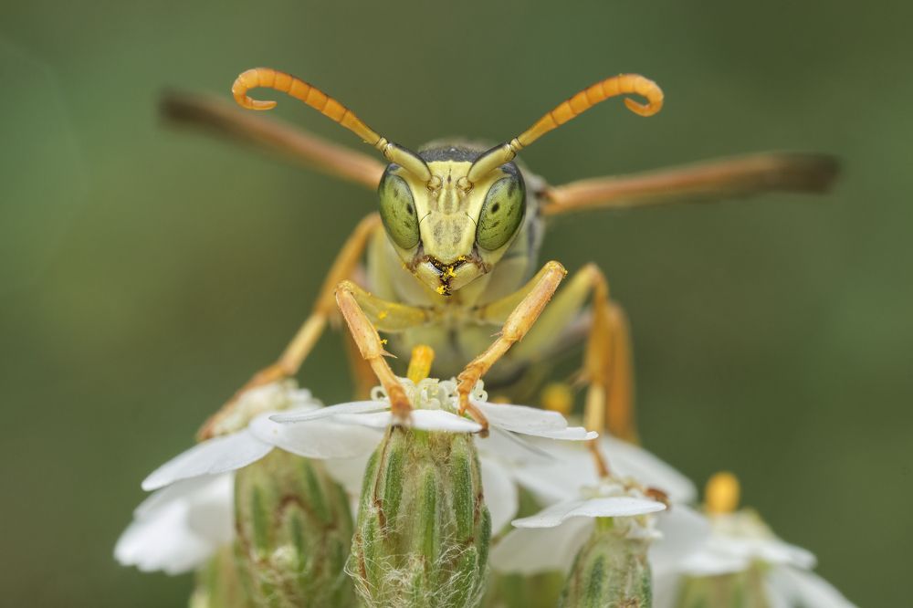 Фотография автора Eimar Kull