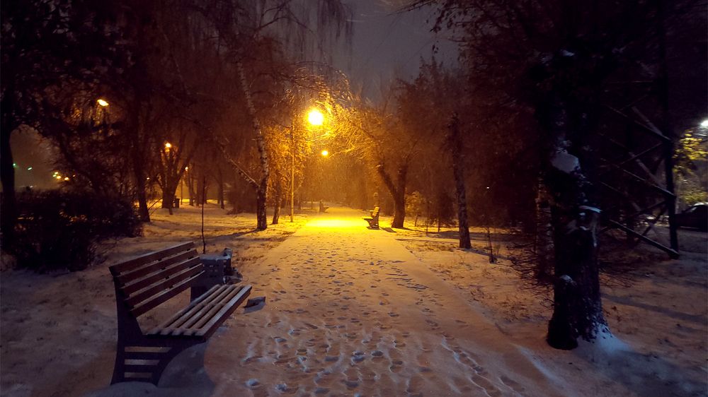 Photograph by Karpenko Denis