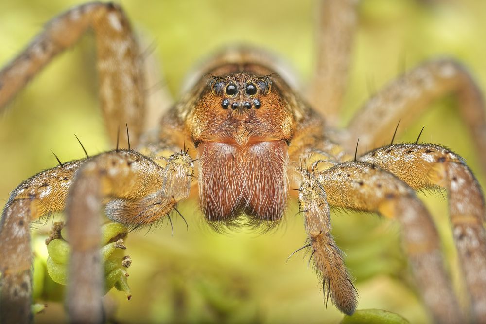 Фотография автора Eimar Kull