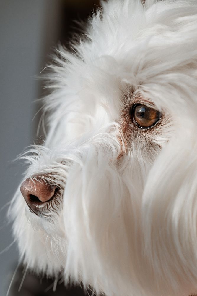 Photograph by Анастасия Герасимова