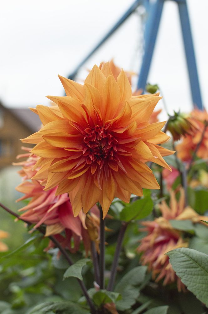 Photograph by Кристина Доманина