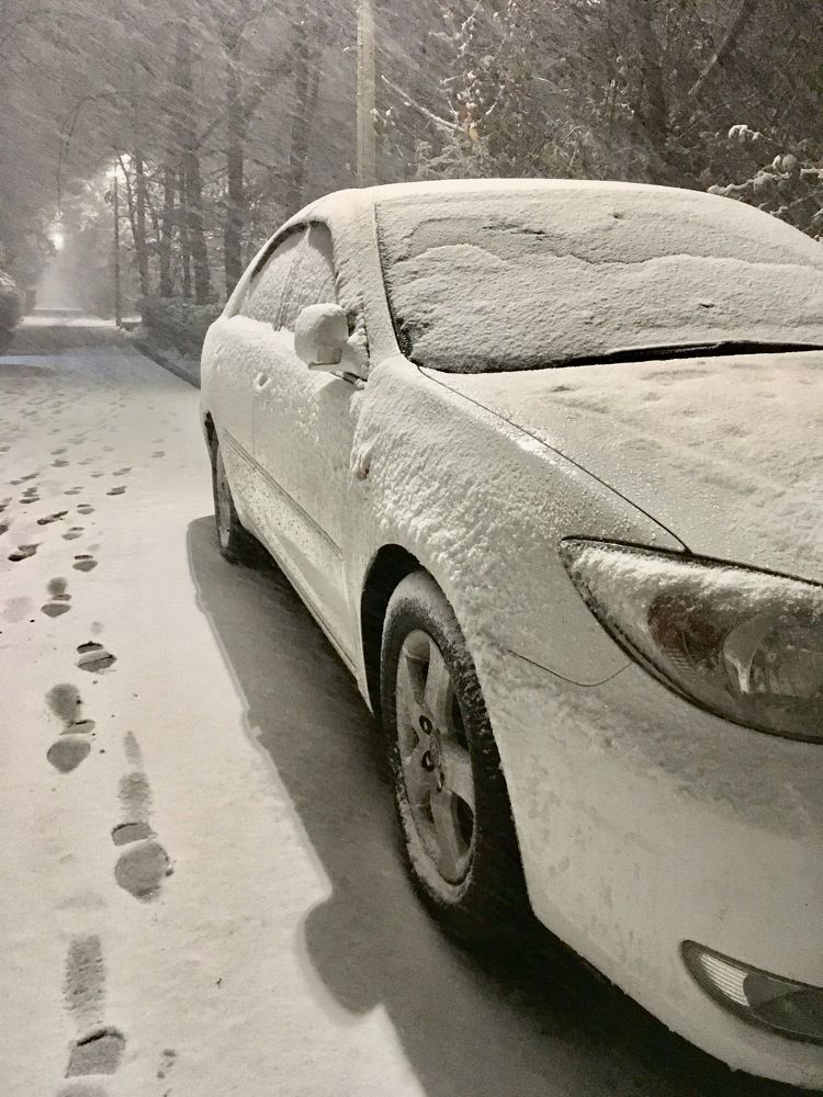 Photograph by Елена Ким