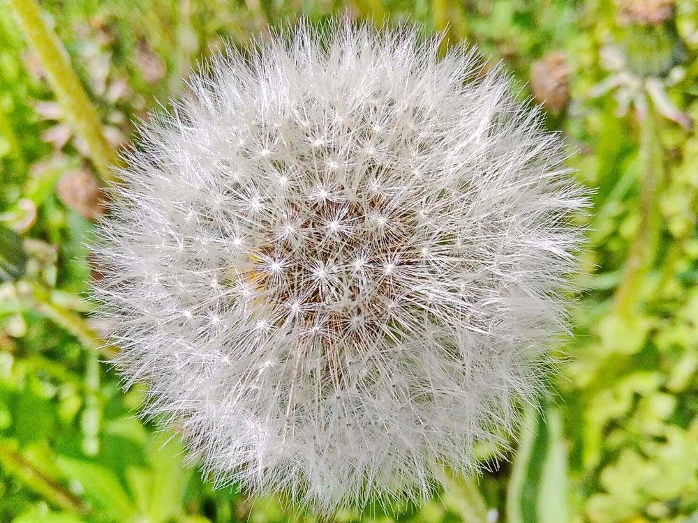 Photograph by Игорь Пшеничников