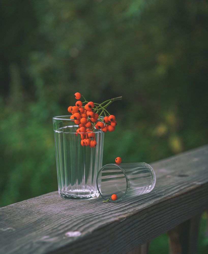 Photograph by Галина Патрушева