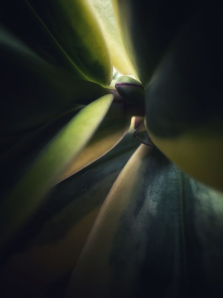 Photograph by Анастасия Куэлляр