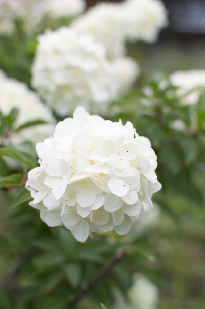 Photograph by Кристина Доманина