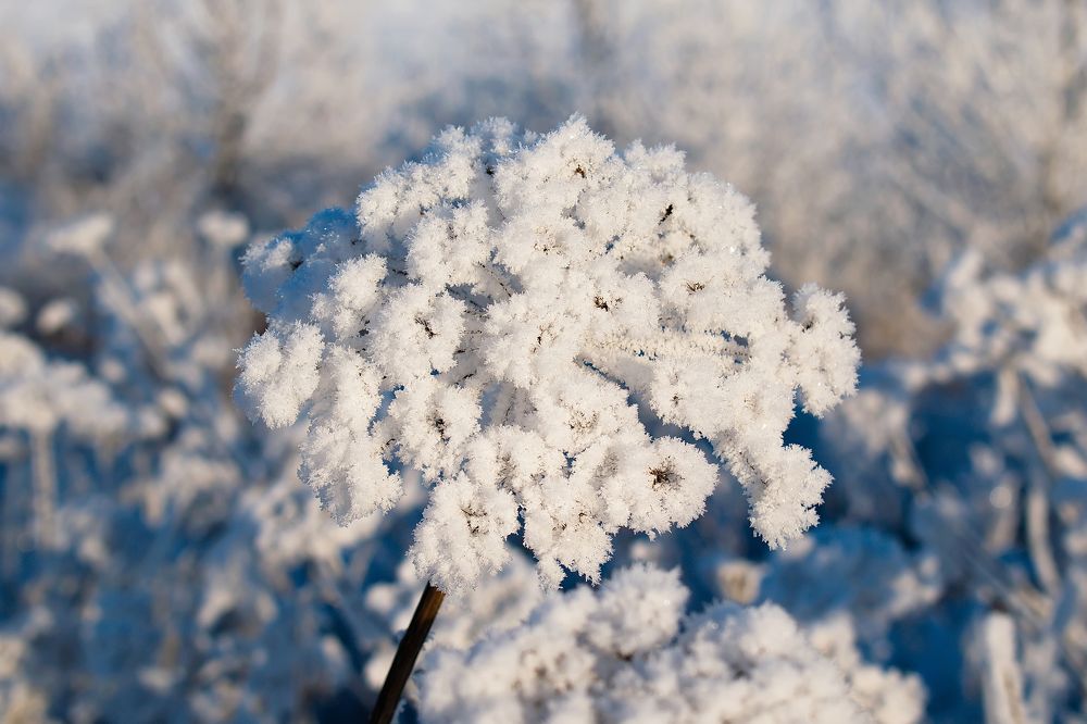 Photograph by Василий Быстрицкий
