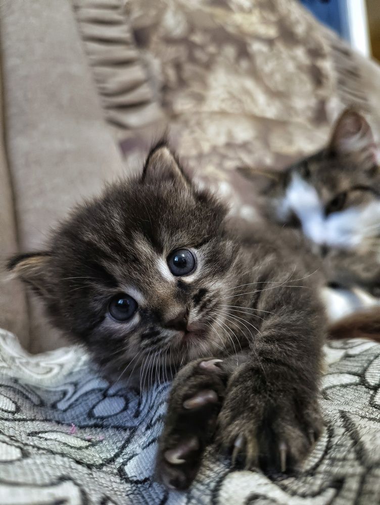 Photograph by Leanid Kulpo