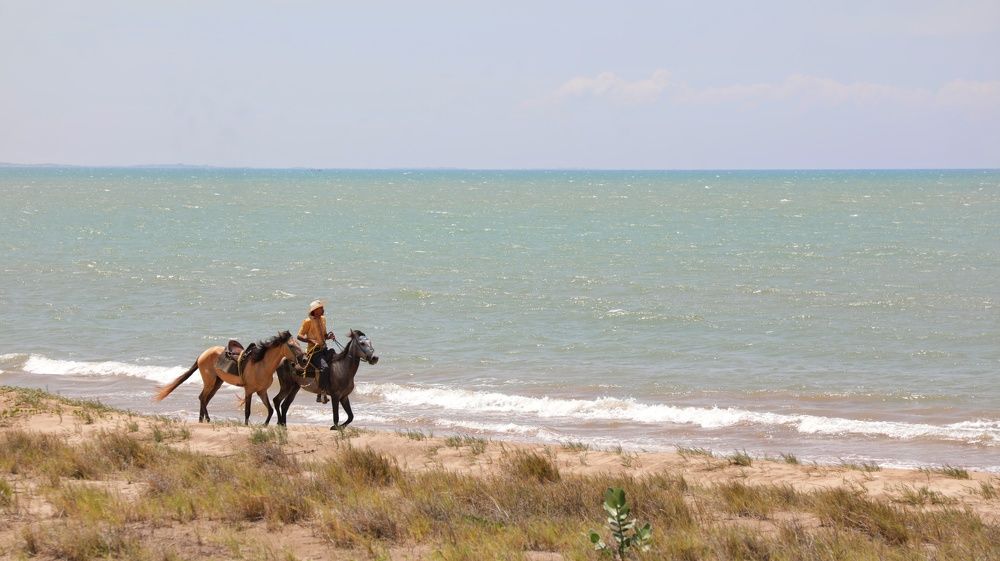 Photograph by nileydi Colmenarez