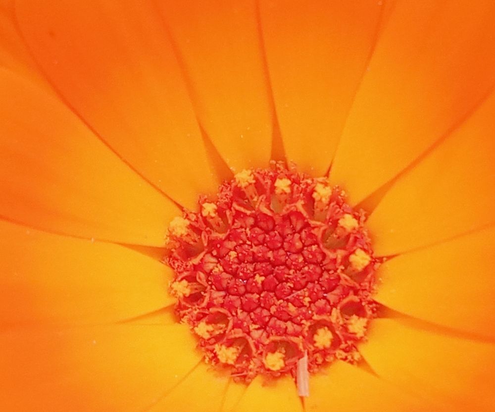 Фотография автора Jose Marcos Carvajal Tarazona