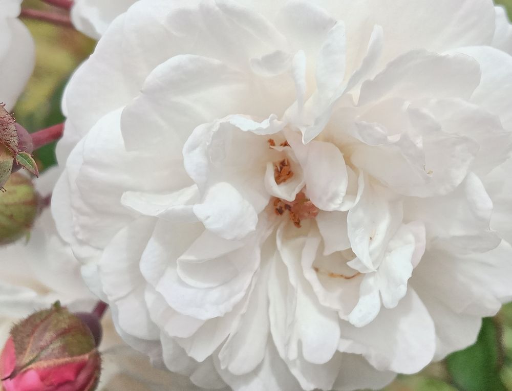 Фотография автора Jose Marcos Carvajal Tarazona