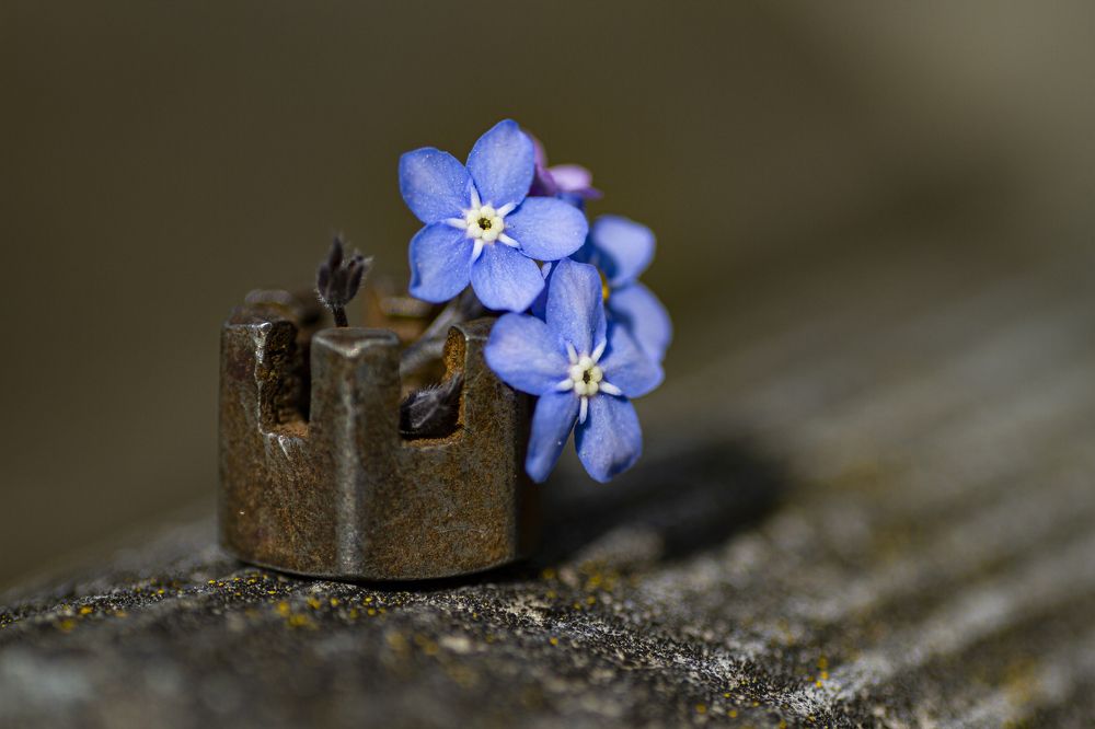 Photograph by Andrey Tarasyuk