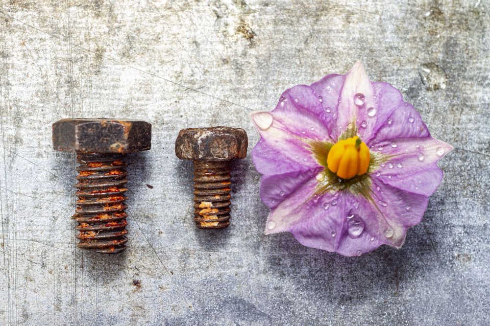 Photograph by Andrey Tarasyuk