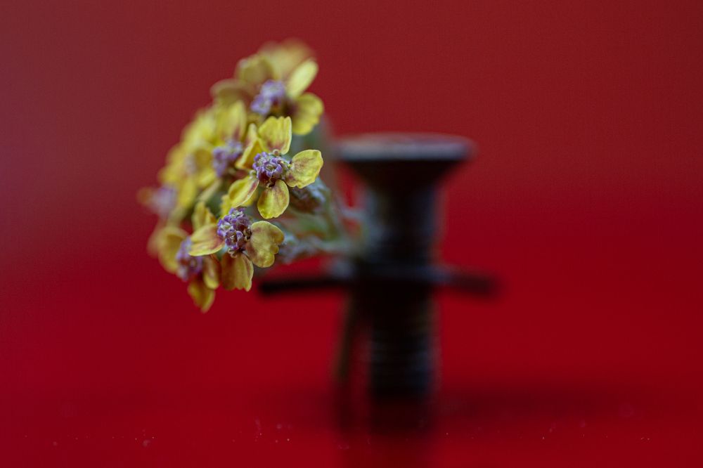 Photograph by Andrey Tarasyuk