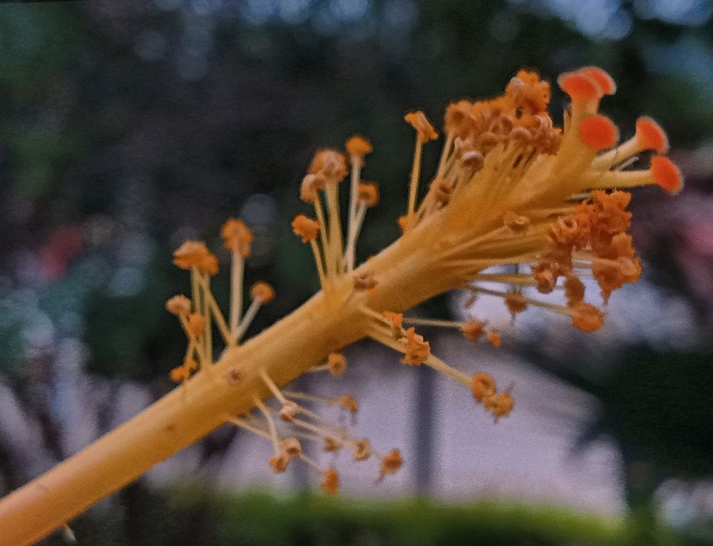 Фотография автора Jose Marcos Carvajal Tarazona