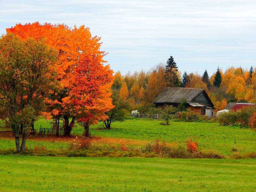 Photograph by Юрий Пучков