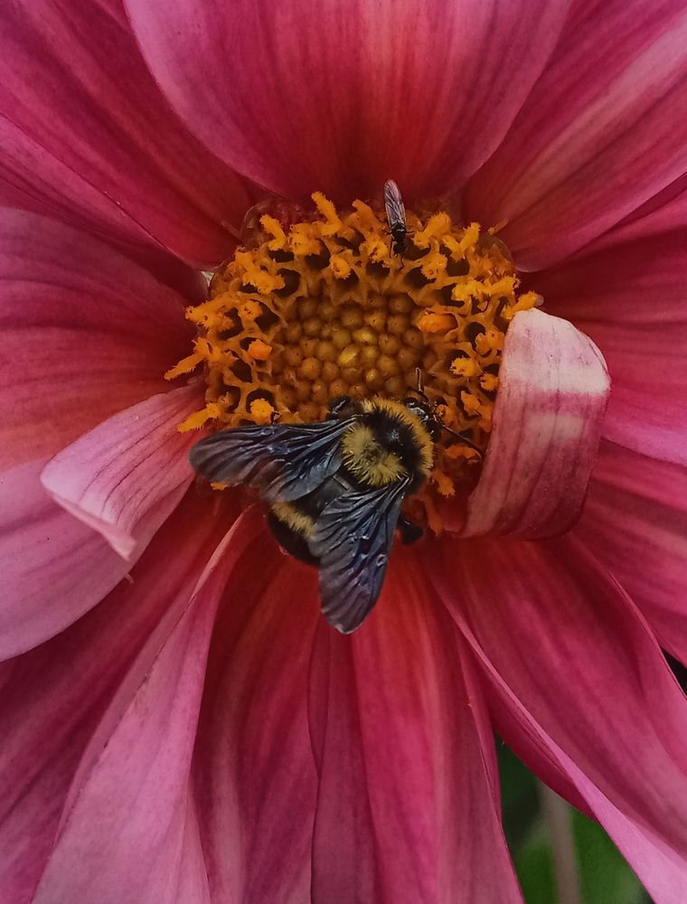 Фотография автора Jose Marcos Carvajal Tarazona