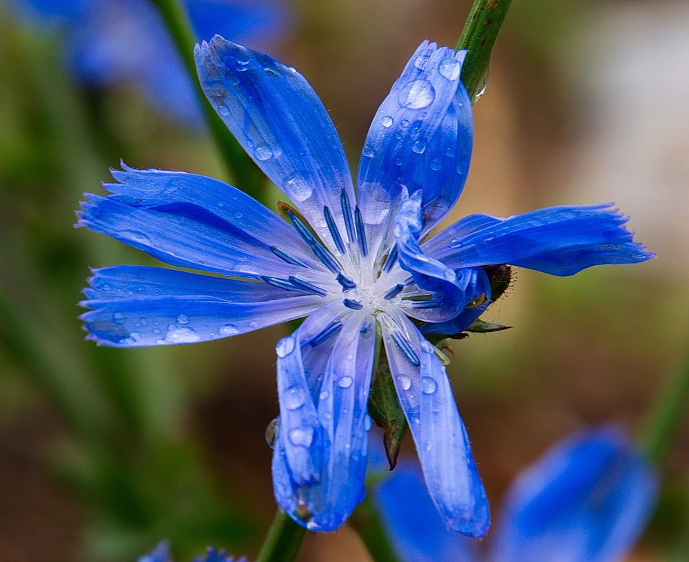 Photograph by Василий Быстрицкий