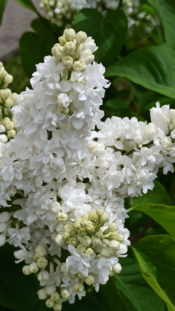 Photograph by Людмила Щуцкая