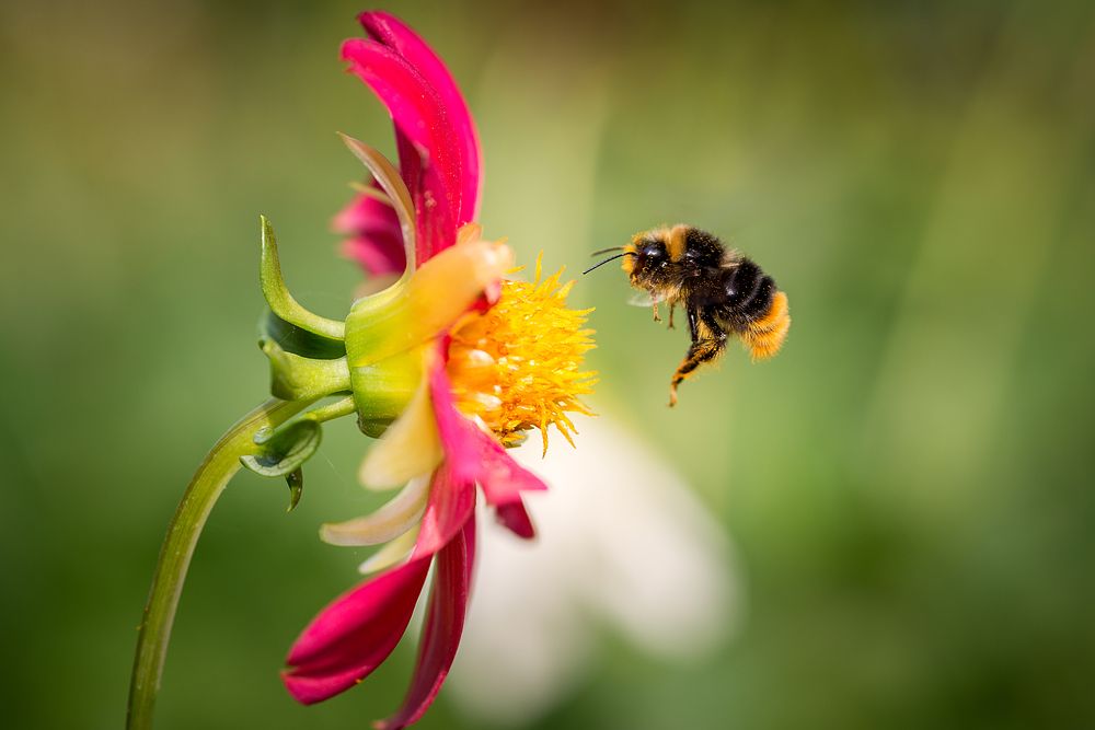 Photograph by Юрий Яковлевич