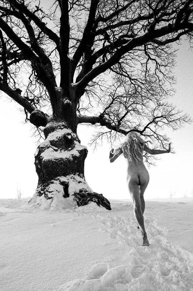 Зимний бег к могучему древу