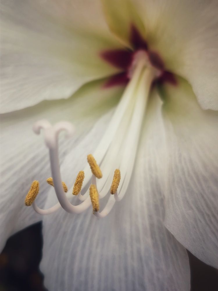 Photograph by Таня Вин