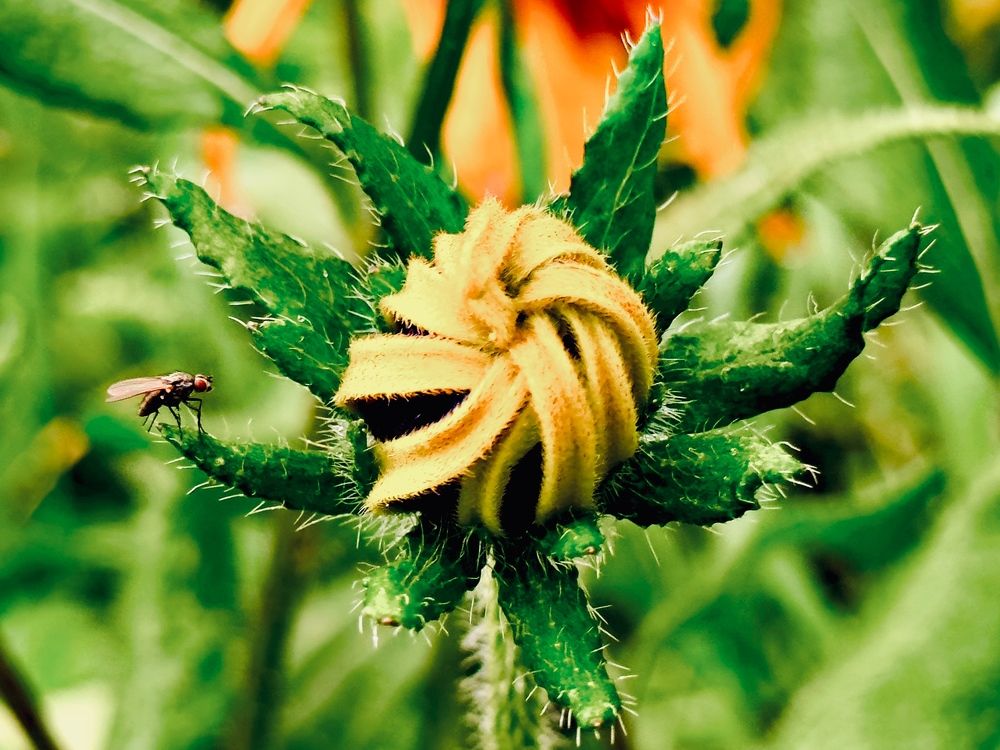 Photograph by Никита Петров