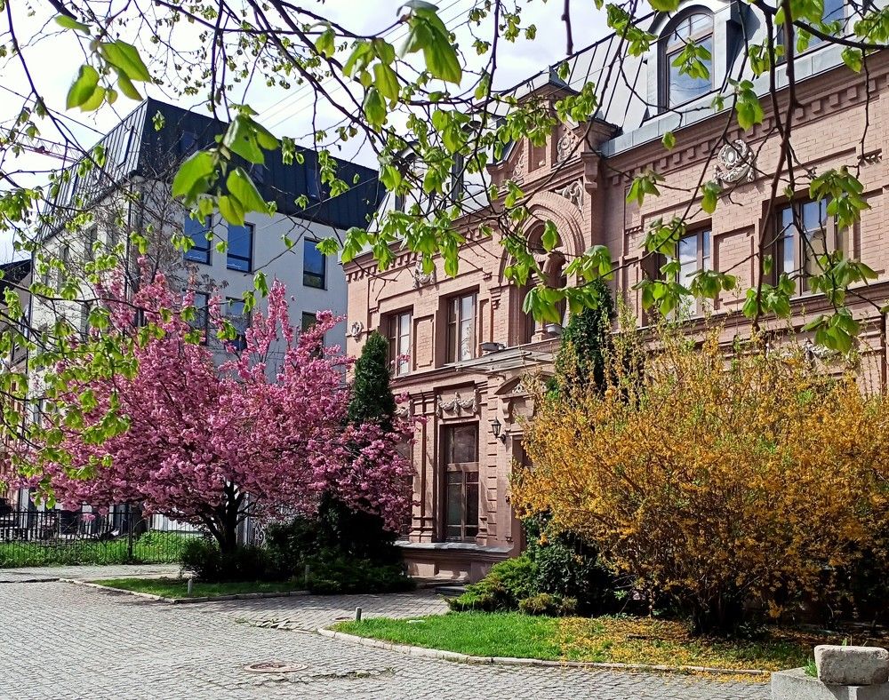 Photograph by Анна Лагун