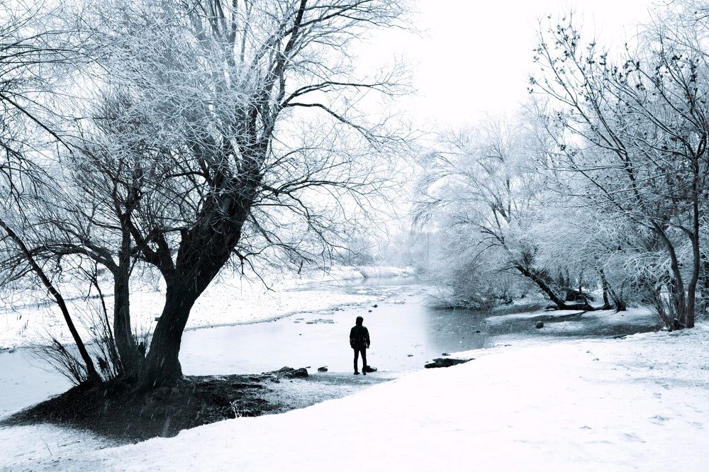 Photograph by Shamal Shakibayi