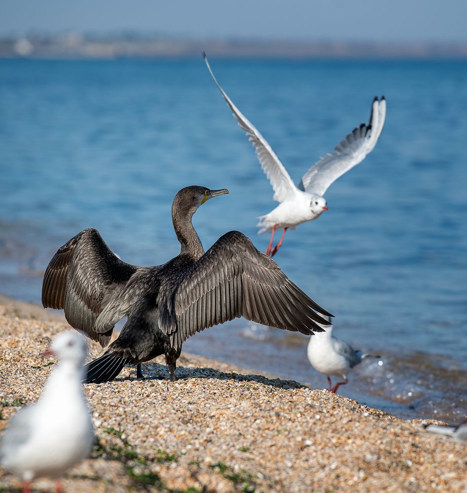 Photograph by Grigorev Andrey