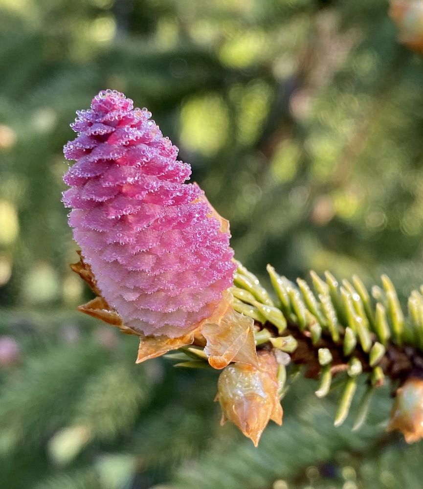 Photograph by Ольга Одаренко