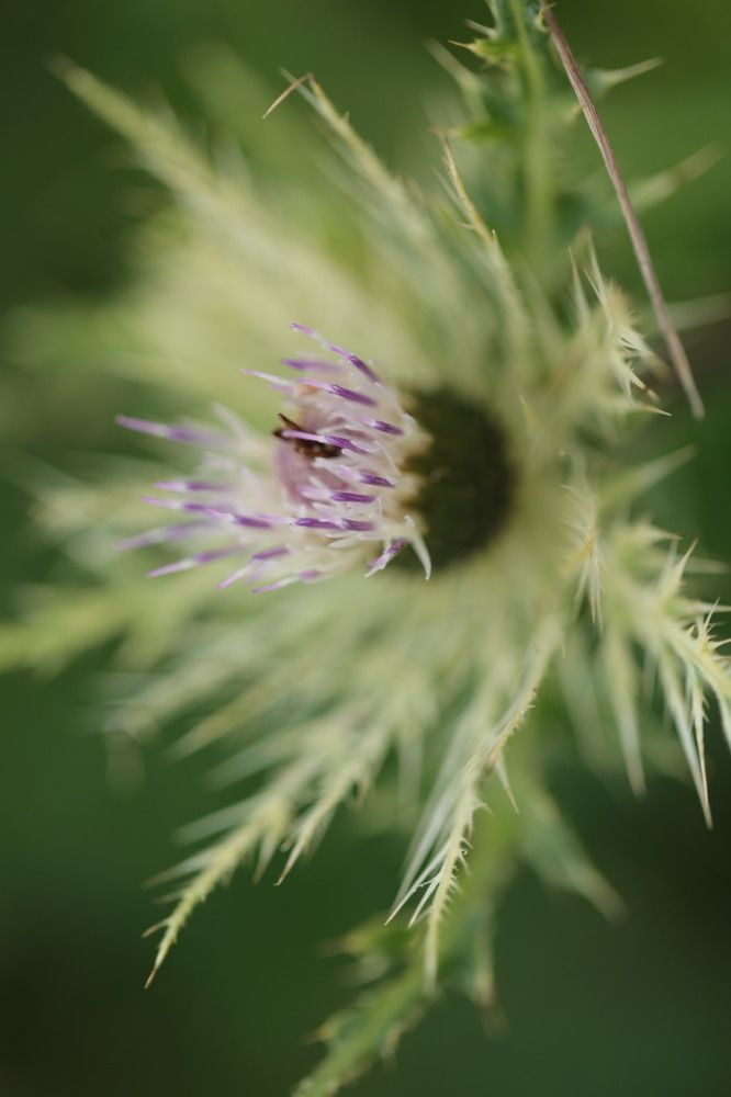 Photograph by Ольга Одаренко