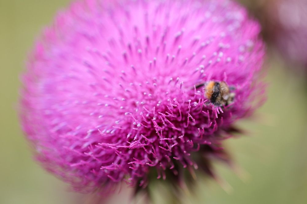 Photograph by Ольга Одаренко