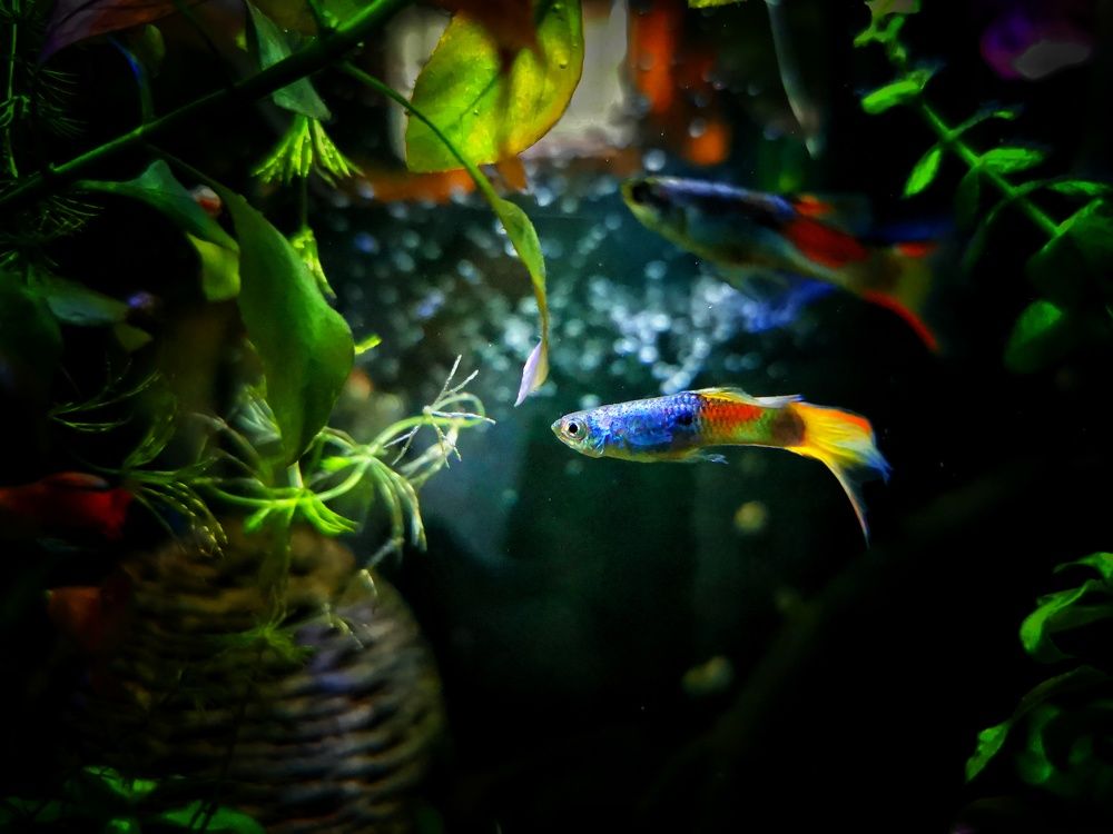 Photograph by Колоскова Мария