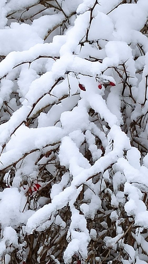 Photograph by Людмила Щуцкая