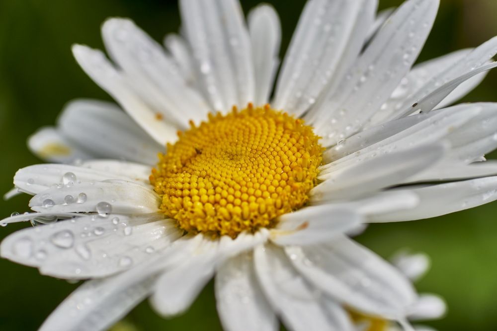 Photograph by Устинов Андрей