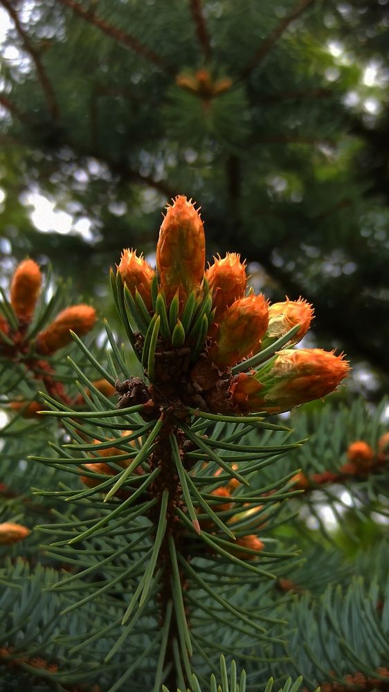 Photograph by Людмила Щуцкая