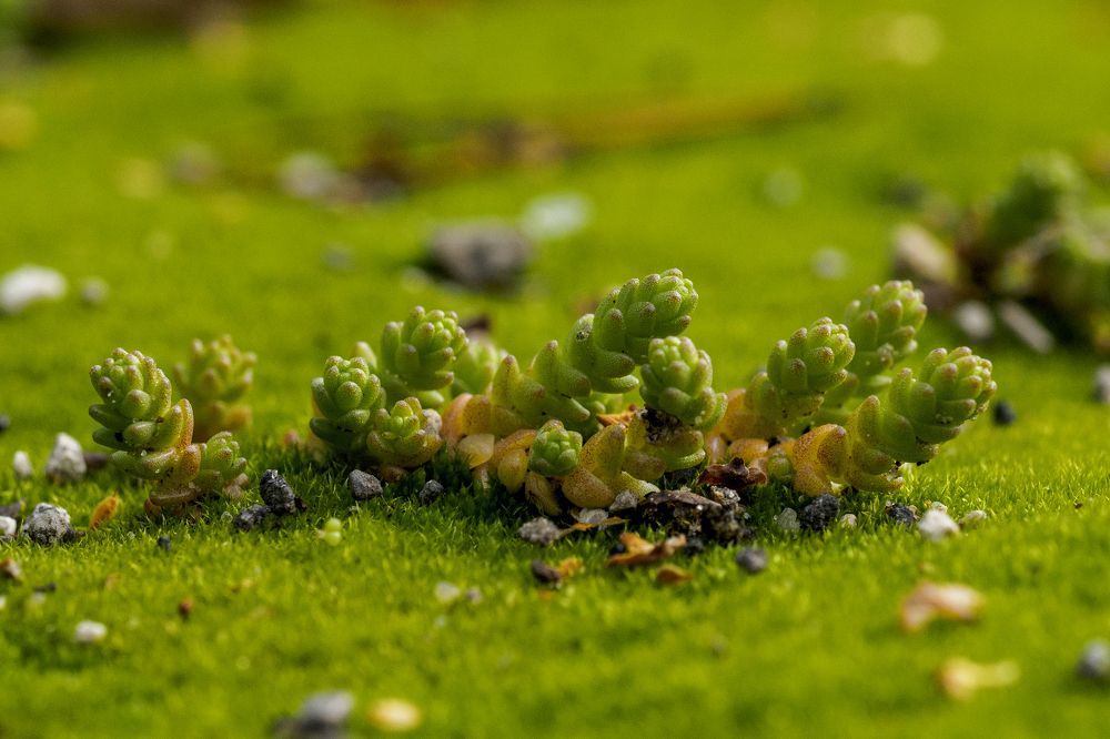 Photograph by Азат Кадиров