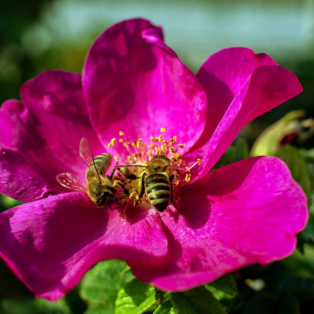 Photograph by Виталий Павлов