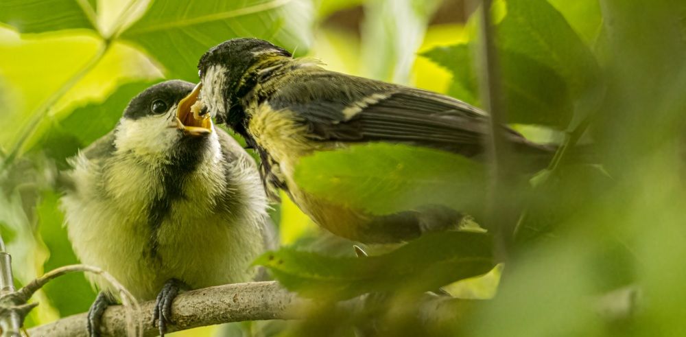 Photograph by Сергей