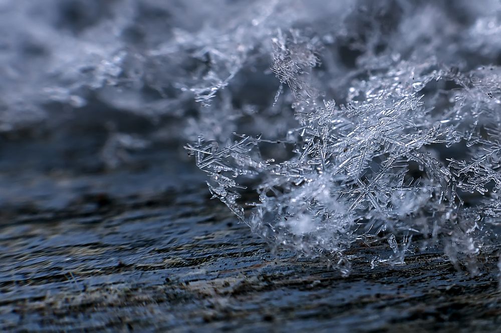 Photograph by Виталий Павлов