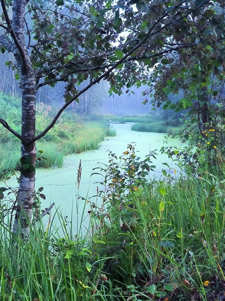 Photograph by AndreY SivkoV