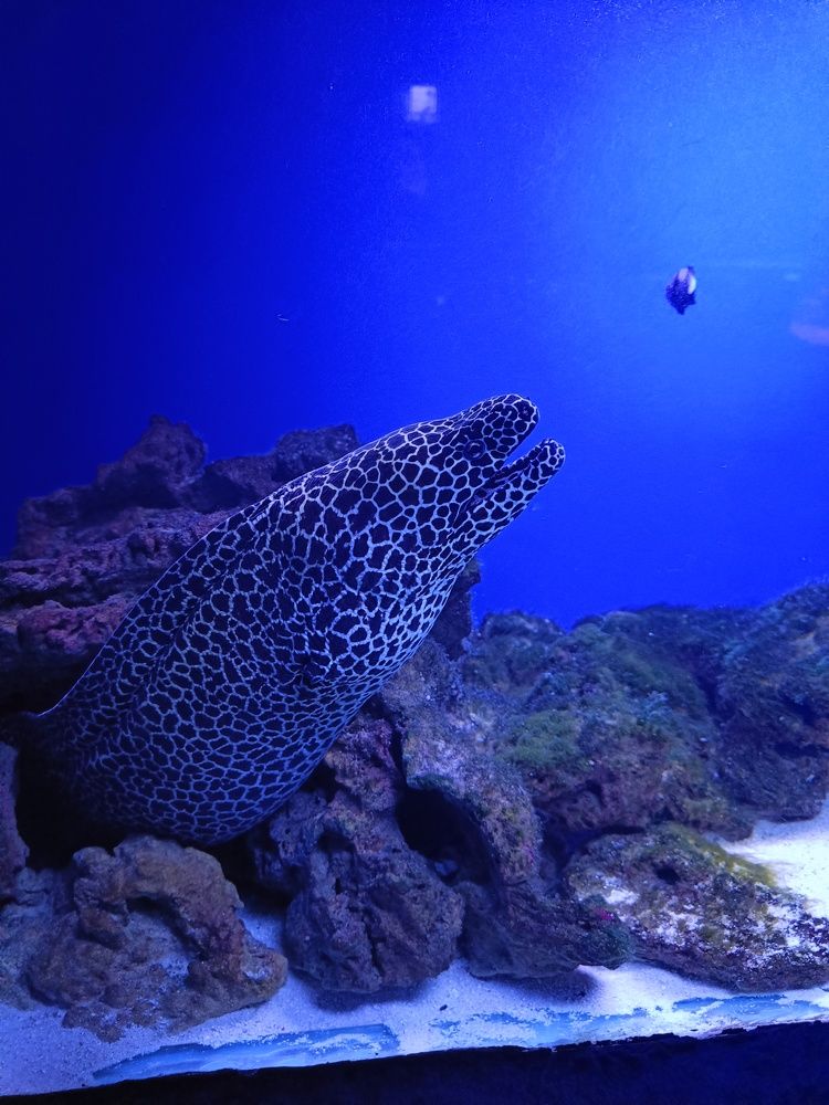 Photograph by Карина Слабкая