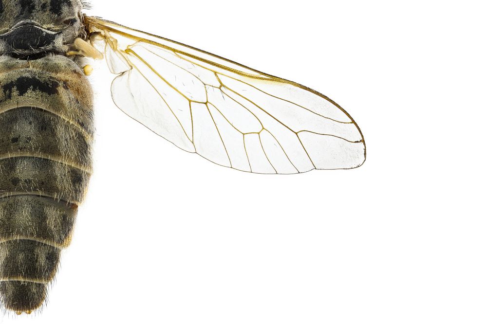 Photograph by Hocine Ferhat