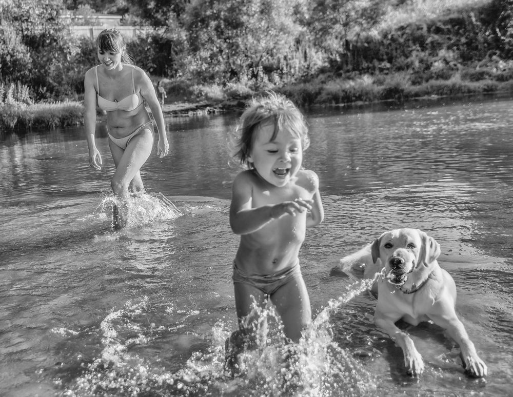 Фотография автора Виталий Подгурченко