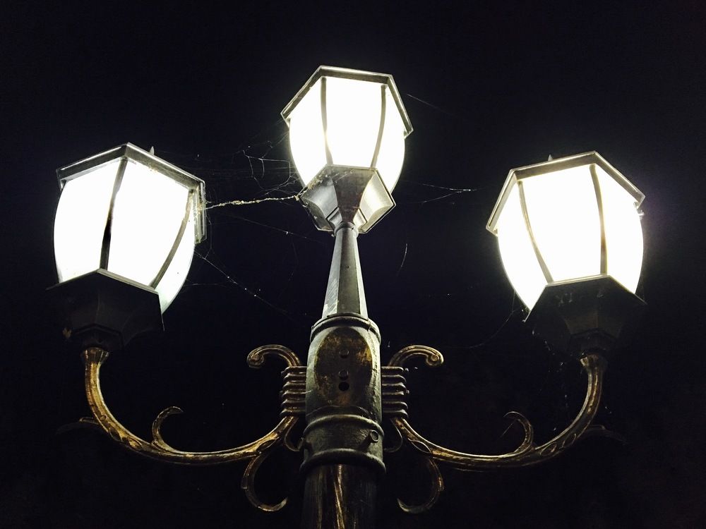 Photograph by Елена Ким